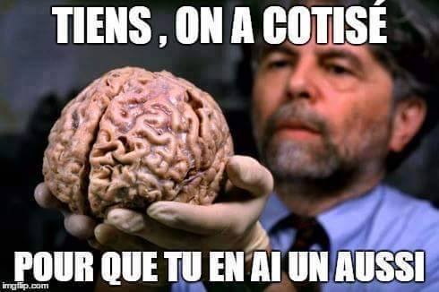 Blague   humour noir   on s'est cotisé pour que toi aussi tu en est un cerveau