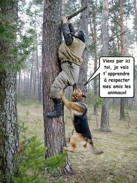 blague   homme agripé à une branche d'arbre