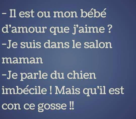 Blague   il est ou mon bébé d'amour je suis la maman je parlais du chien