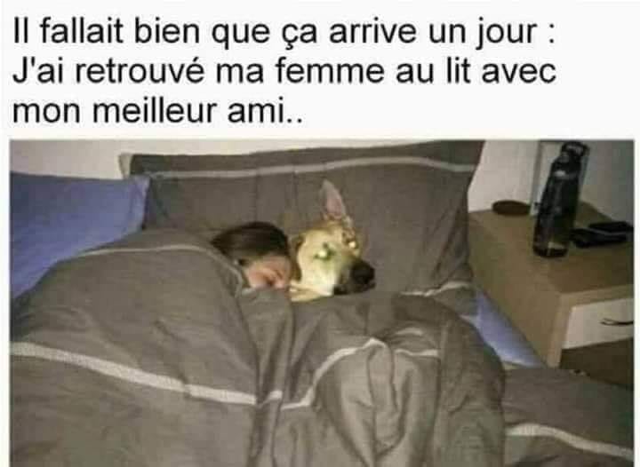 Blague   il fallait bien que ça arrive j'ai retrouvé mon meilleur ami au lit avec ma femme