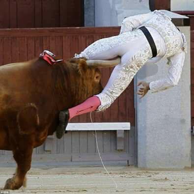 Blague   insolite   taureau qui se venge du toréador