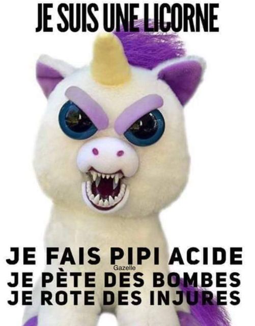 Blague   insolite   un elicorne qui dit je suis un elicorne je fais pipi acide je pête des bombes et je rote des injures