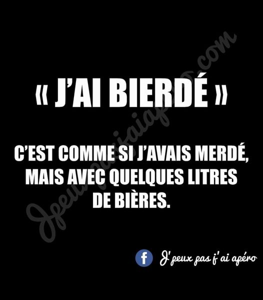 Blague   j'ai bierdé c'est comme si j'avais merdé mais avec quelques litres de bière