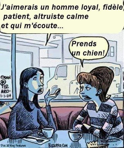 Blague   j'aimerais un homme loyal fidèle patient altruiste calme et qui m'écoute   prends un chien