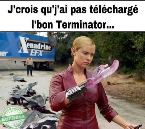 Blague   j'crois que je n'ai pas téléchargé le bon terminator