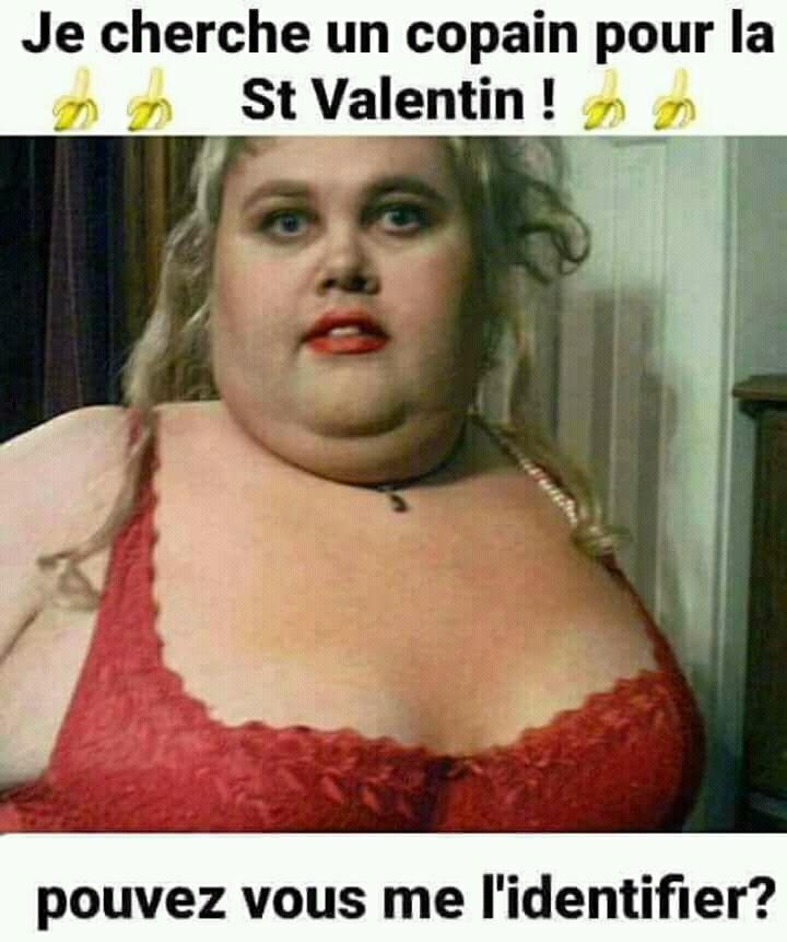 Blague   je cherche un copain pour la saint valentin