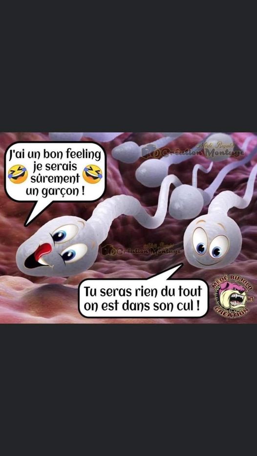 Blague   je sens que je serais un beau garrçon   tu seras rien on est dans le cul dit le spermatozoide