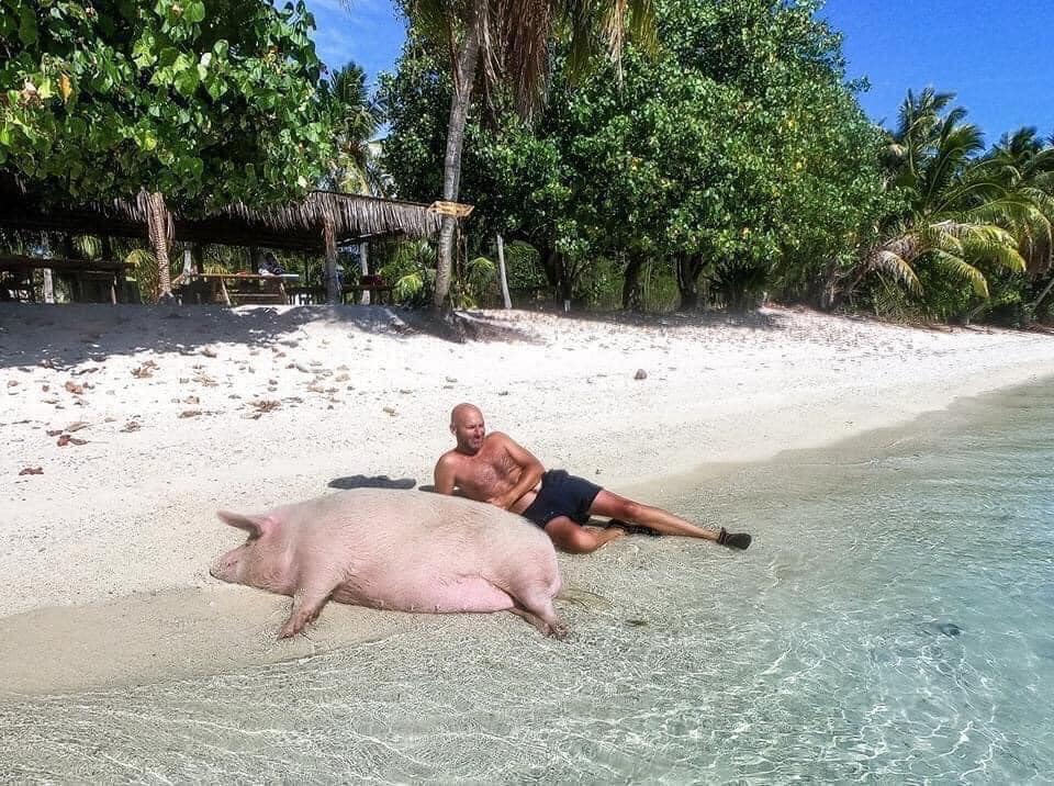 Blague   je suis parti à la plage en vacance avec une cochonne