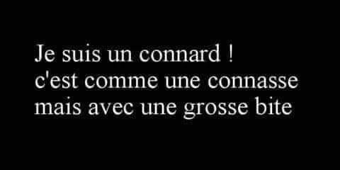 Blague   je suis un connard   c'est comme une connasse mais avec une grosse bite