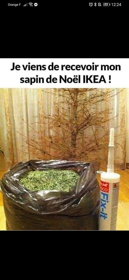 Blague   je viens de recevoir mon sapin de noel ikéa