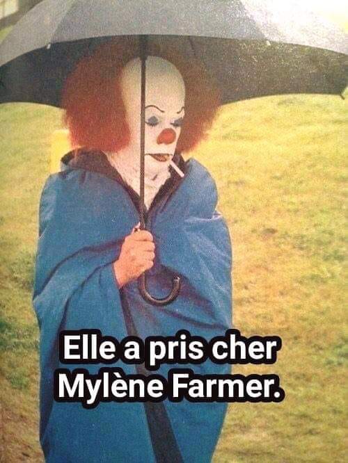 Blague   jeux d 'image   elle a pris cher mylène farmer