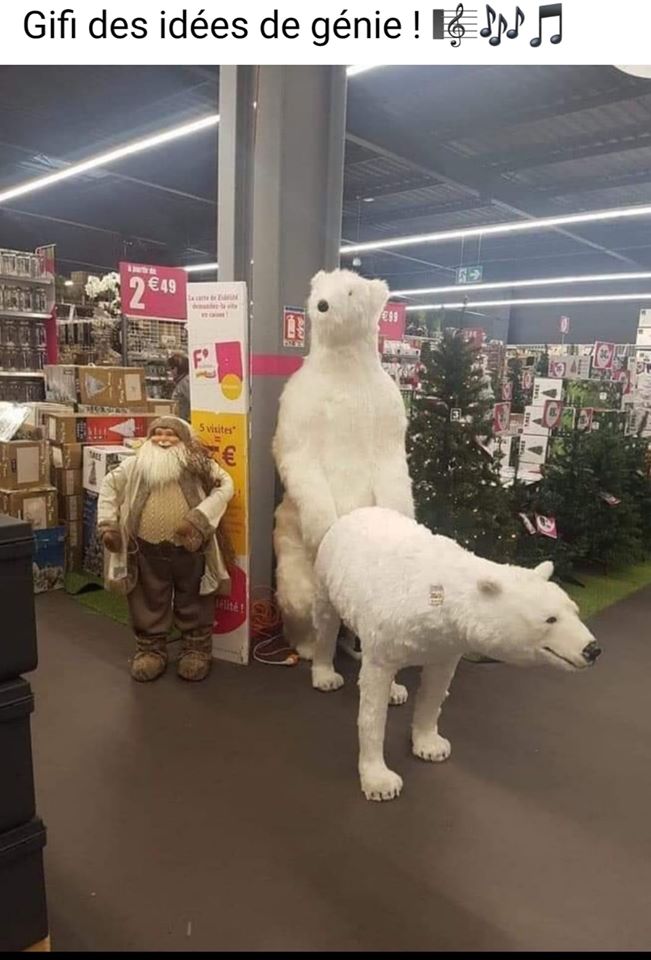 Blague   jeux d'image   2 ours blanc en train de faite l'amour dans un magasin