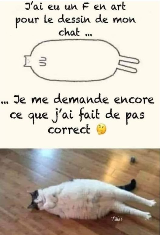 blague   j'ai eu un f en art pour le dessin de mon chat