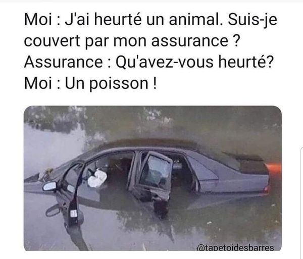 blague   j'ai heurté un animal,suis je couvert par mon assurance l'assurance répond qu'avez vous heurté