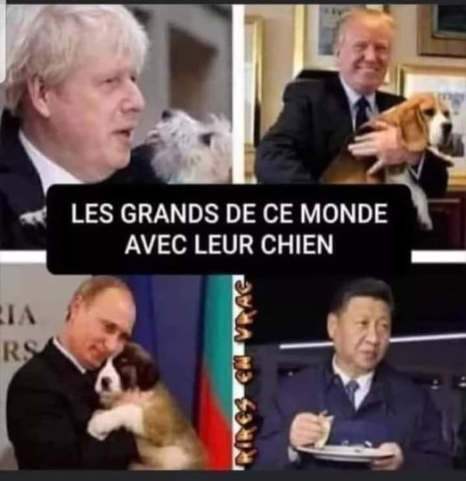 Blague   Les grand de cemonde ave cleur chien