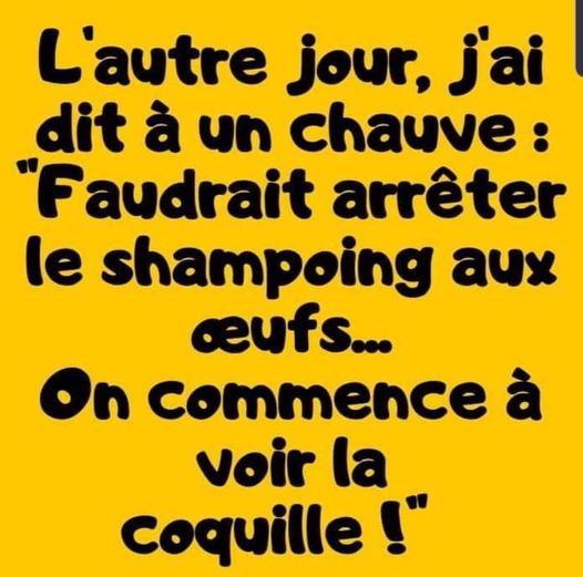 Blague   l'autre jour j'ai dit à un chauve    faudrait arrêter le shampoing aux oeufs   on commence à voir la coquille