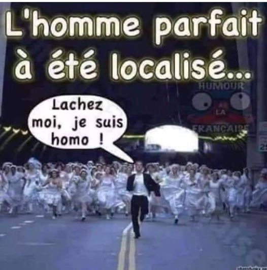 Blague   l'homme parfait a été localisé pleins de femme qui poursuivent un homme et qui dit lachez moi je suis homo