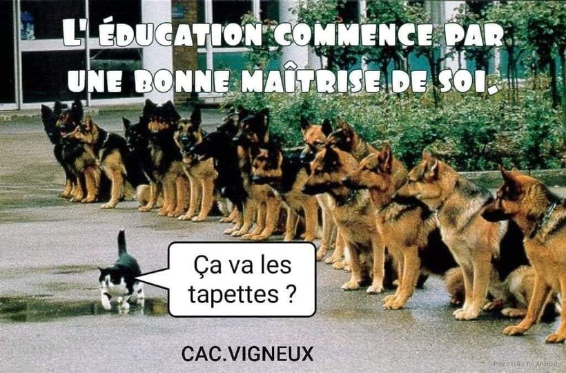 Blague   l'éducation la maitrise de soi