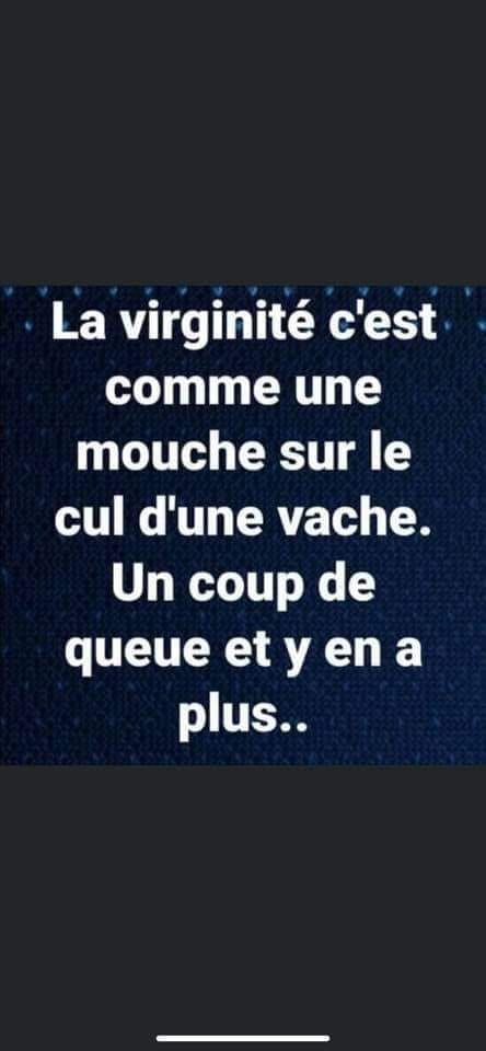 Blague   la virginité c'est comme un emouche sur le cul d'une vache   un coup de queue et y'en a plus