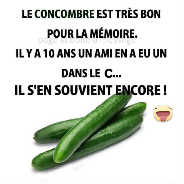 Blague   le concombre est très bon pour la mémoire   il ya 10 ans un ami en a eu un dans lecul il s'en souvient encore