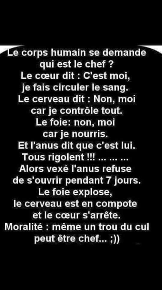 Blague   le corps humain dit qui est le chef le  coeur répond moi le cerveau dit moi le foi dit moi l'anus dit moi tous rigole alors vexé le trou du cul refuse des'ouvrir