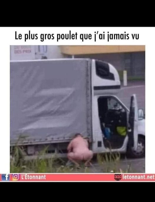 Blague   le plus gros poulet que j'ai jamais vu