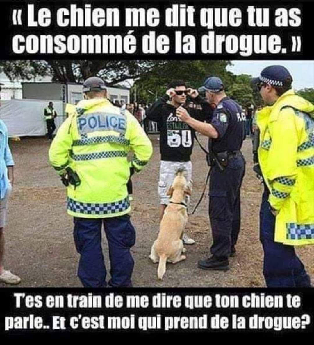 Blague   le policier dit le chien me dit que tu as consommé de la drogue t'es en train de me dire que ton chien te parle et c'est moi qui prend de la drogue