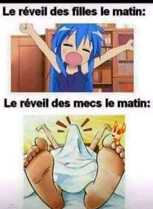 Blague   le reveil des femmes le matin   le révéil des mecs le matins