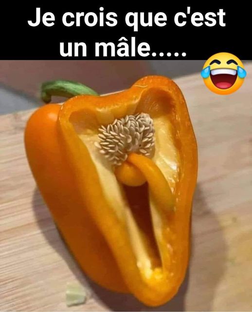 Blague   legume   je crois cest un male