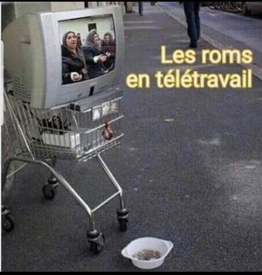 Blague   les roms au télétravail