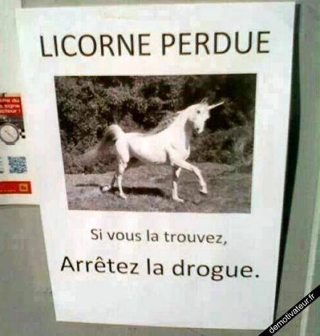 Blague   licorne perdue si vous la trouver arrêter l drogue