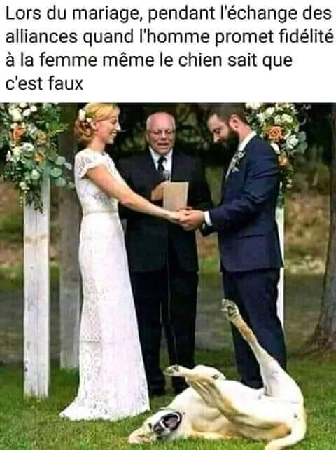 Blague   lors d'un mariage pendant l'échange des alliance quand l'homme promet fidélité à la femme même le chien