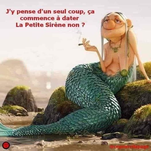 blague   la petite sirène