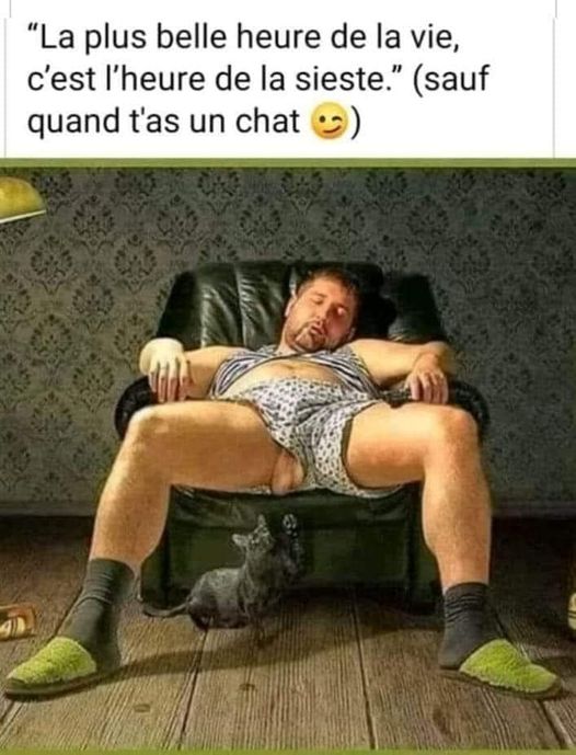 blague   la plus belle heure de la vie,c'est l'heure de la sieste,sauf quand tu as un chat