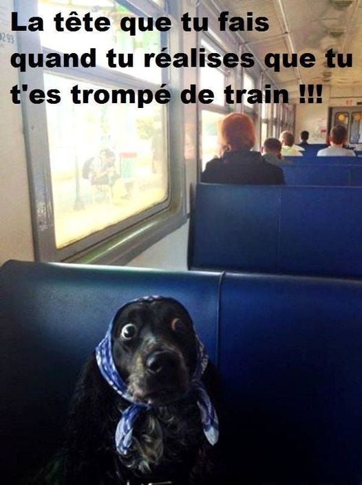 blague   la tête que tu fais quand tu réalises que tu t'es trompé de train