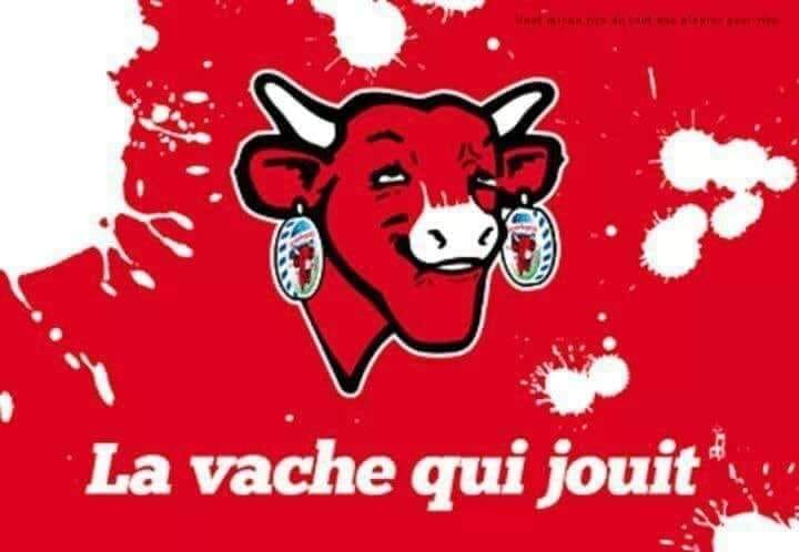 blague   la vache qui jouit