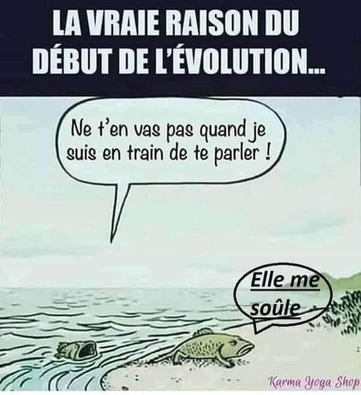 blague   la vraie raison de l'évolution,femme qui dit à son homme ne t'en vas pas quand je suis en train de te parler, elle me soule