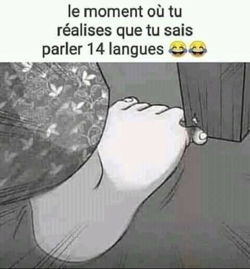 blague   le moment ou tu réalises que tu sais parler 14 langues