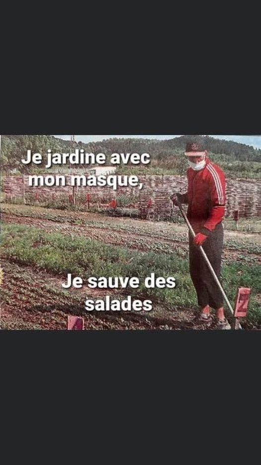 Blague   Masque   je jardine avec mon masque  je sauve des salades