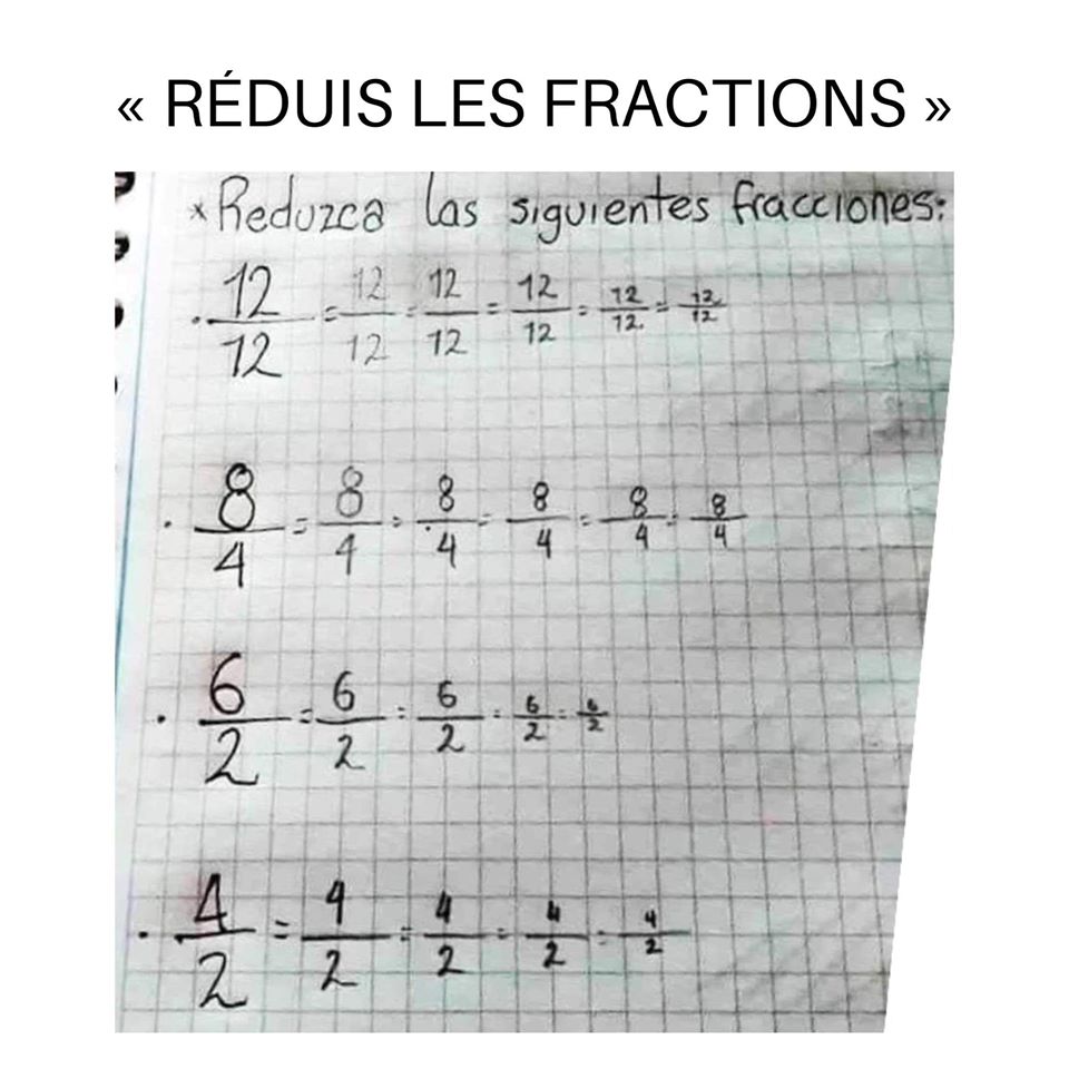 Blague   Mathématique   reduis les fractions