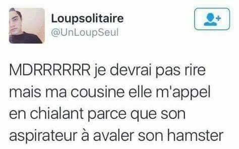 Blague   ma cousine m'appelle en chialant parce que son aspirateur a avaler son hamster