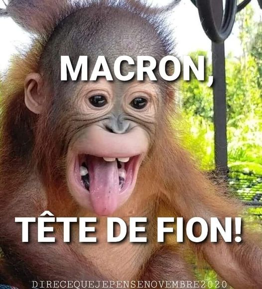 Blague   macron tête de fion