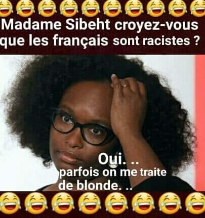 Blague   madame sibeth croyez vous que les français sont raciste   oui parfois on me traite de blonde