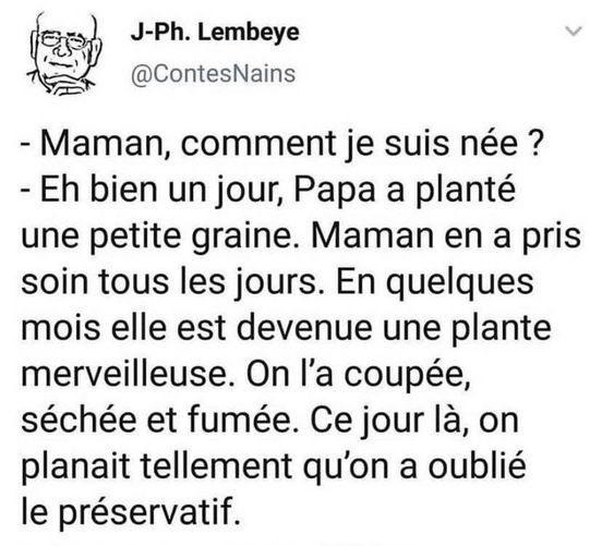 Blague   maman comment je suis né   eh bien un jour papa a planté une petite graine maman en a pris soin tous les jours en quelques mois elle est devenue une plante merveilleuse on l'a coupé et