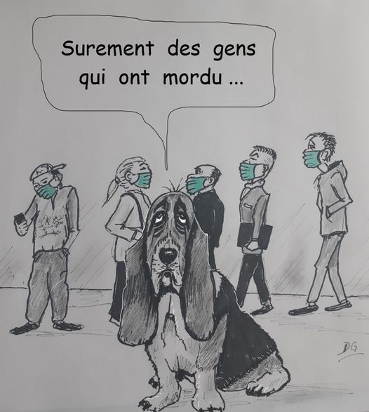 Blague   masque   un chien dit surement des gens qui ont mordu que les humains portent une musolière