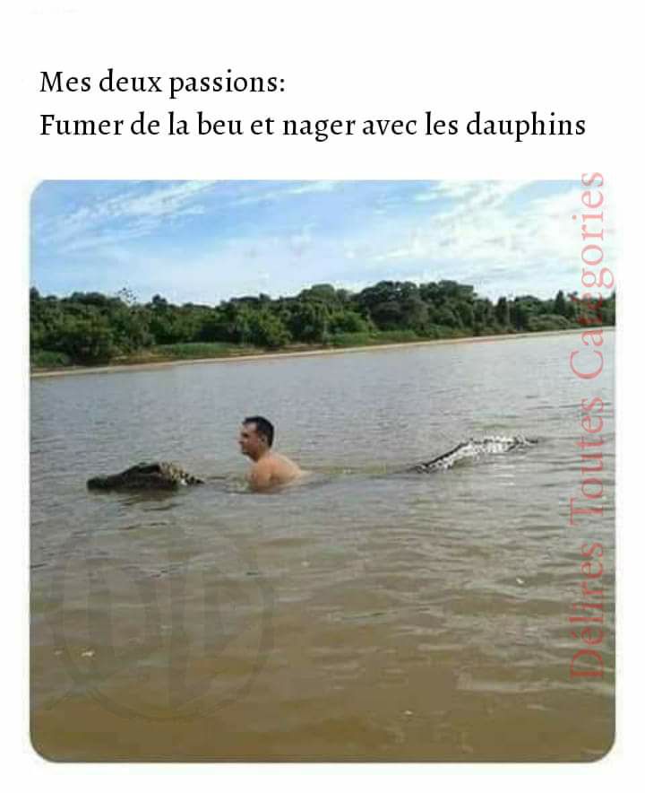 Blague   mes 2 passions fumer d ela beu et nager avec les dauphins