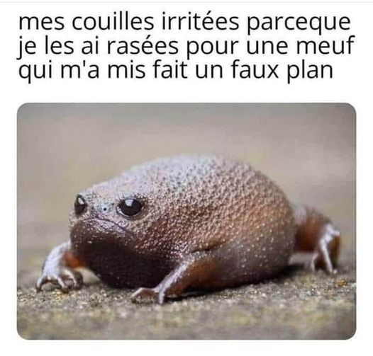 Blague   mes couilles irritées parce je les ai rasées pour une meuf qui m'a fait un faux plan