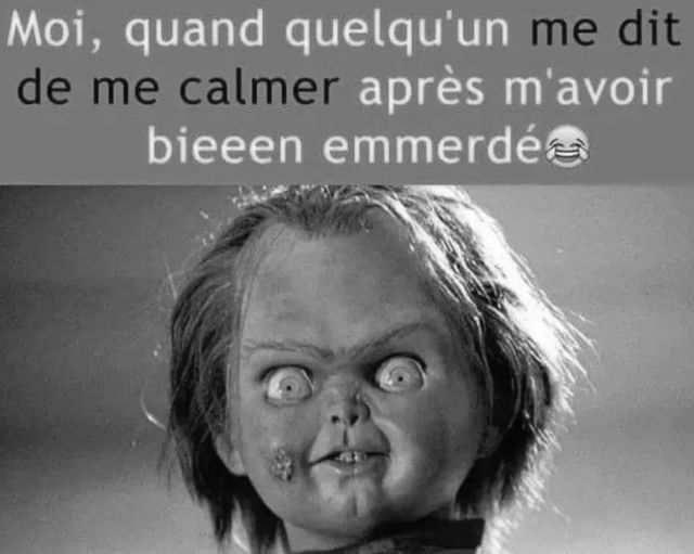 Blague   moi quand quelqu'un me dit de me calmer après m'avoir bien enmmerdé