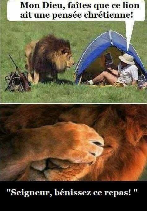 Blague   mon Dieu faites que ce lion est une pensée chrétienne le lion seigneur bénissez ce repas