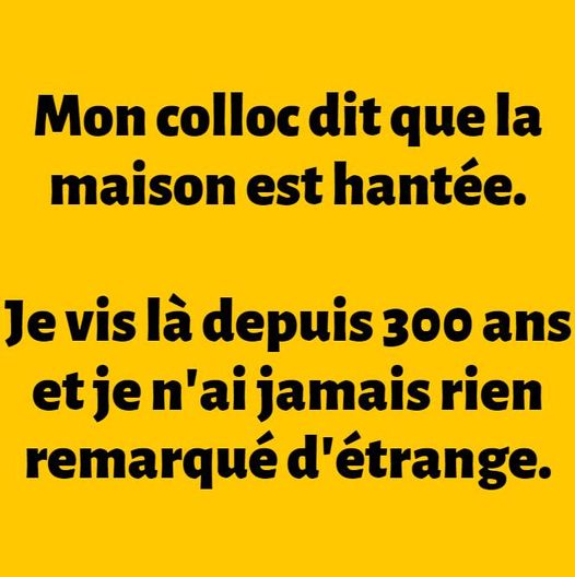 Blague   mon colloc dit que la maison est hantée je vis la depuis 300 ans je n'ai rien de trouver d'anormal